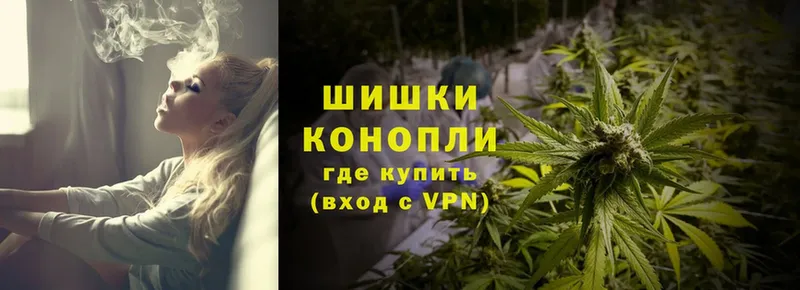 Канабис OG Kush  Мамоново 